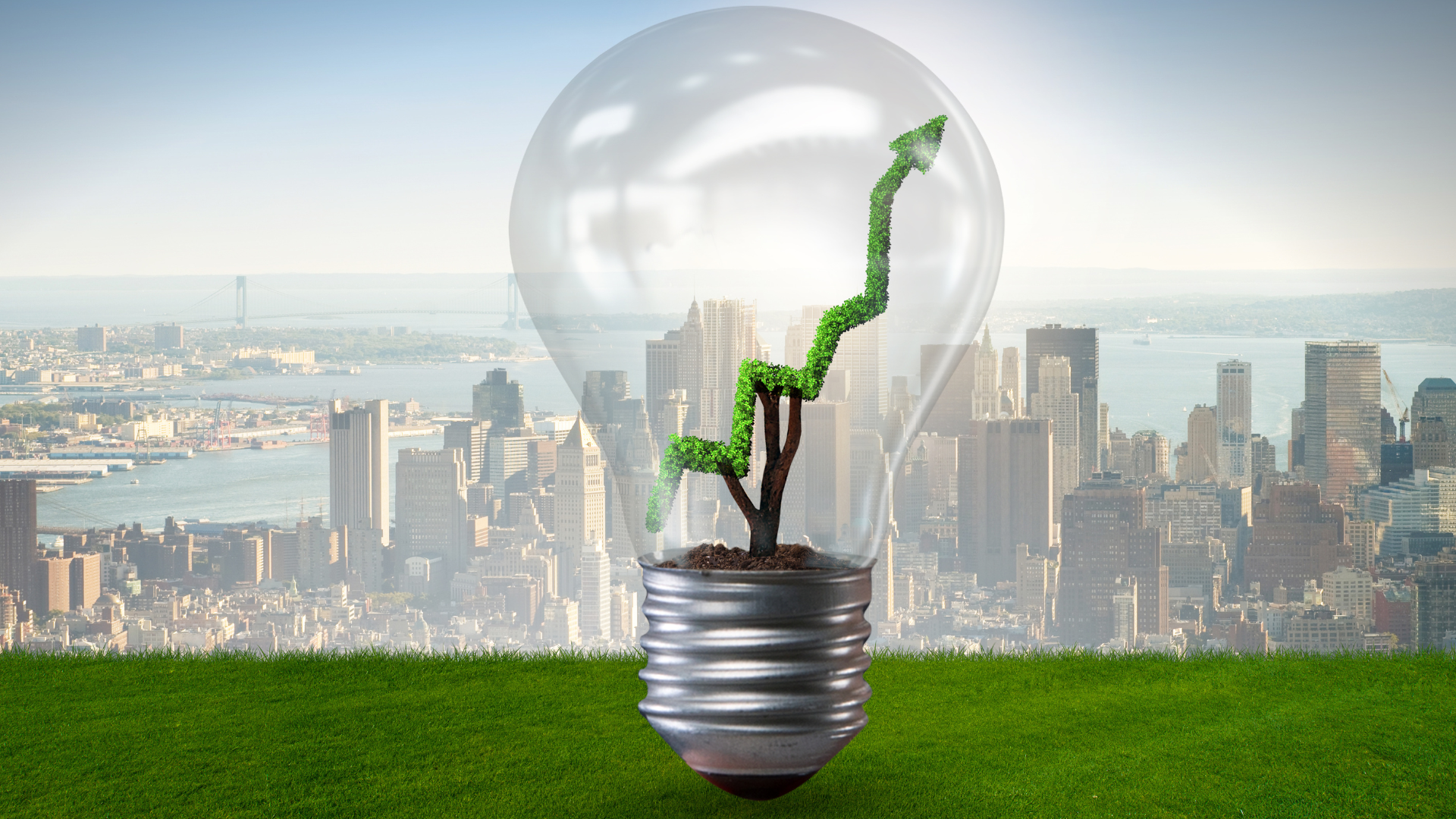 Jak ograniczyć „ślad węglowy”?